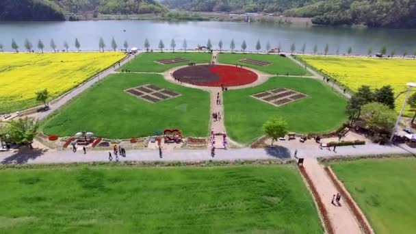 Luchtfoto Van Yuchae Canola Bloemenfestival Namji Changnyeong Gyeongnam Zuid Korea — Stockvideo