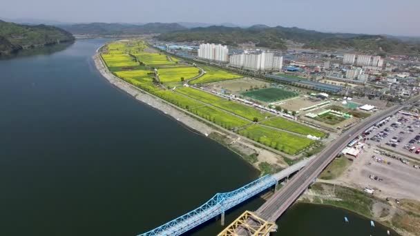 Luchtfoto Van Yuchae Canola Bloemenfestival Namji Changnyeong Gyeongnam Zuid Korea — Stockvideo