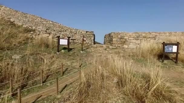 Veduta Aerea Jindallae Azalea Fioritura Nella Montagna Hwawangsan Changnyeong Gyeongnam — Video Stock