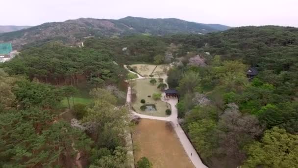 Vista Aérea Fortaleza Gochang Eupseong Jeonbuk Corea Del Sur Asia — Vídeo de stock