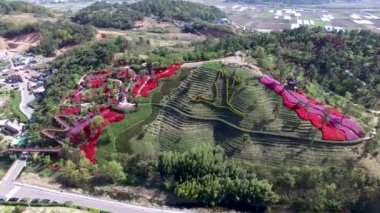 Suncheonman Körfezi Ulusal Bahçesi, Suncheon, Jeonnam, Güney Kore, Asya.