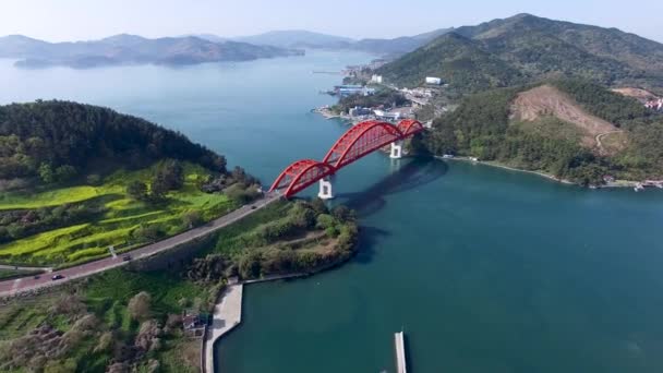 Vista Aérea Yuchae Canola Floreciendo Primavera Sacheon Gyeongnam Corea Del — Vídeos de Stock