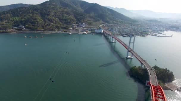 Vista Aérea Yuchae Canola Floreciendo Primavera Sacheon Gyeongnam Corea Del — Vídeos de Stock