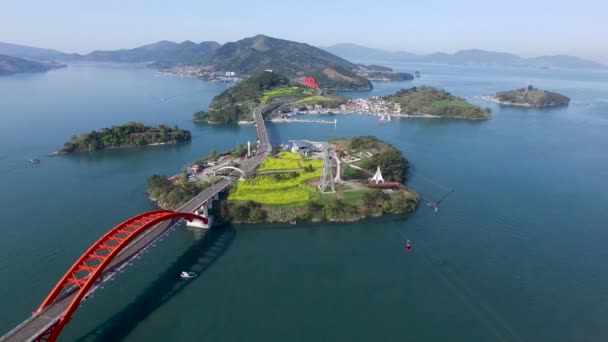 Vista Aérea Yuchae Canola Florescendo Primavera Sacheon Gyeongnam Coréia Sul — Vídeo de Stock