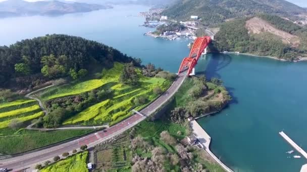 Vista Aérea Yuchae Canola Florescendo Primavera Sacheon Gyeongnam Coréia Sul — Vídeo de Stock