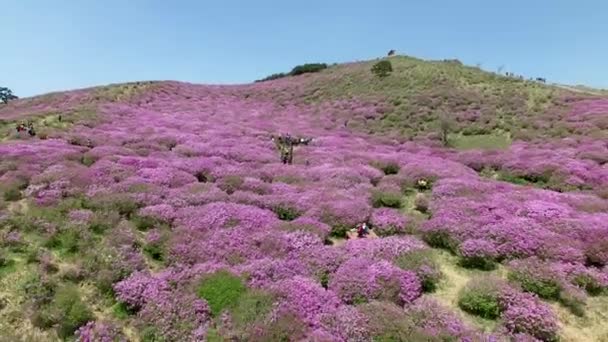 Luchtfoto Van Hwangmaesan Mountain Hapcheon Gyeongnam Zuid Korea Azië — Stockvideo