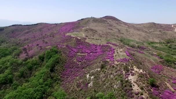 Widok Lotu Ptaka Hwangmaesan Mountain Hapcheon Gyeongnam Korea Południowa Azja — Wideo stockowe