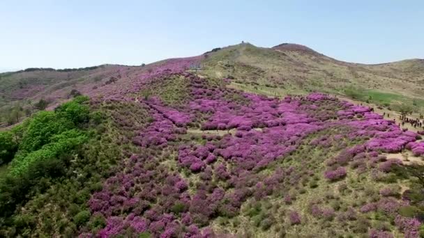 Vista Aérea Montanha Hwangmaesan Hapcheon Gyeongnam Coreia Sul Ásia — Vídeo de Stock