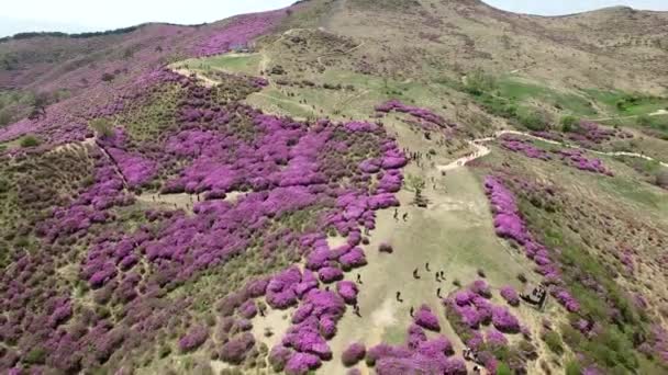 Letecký Pohled Hwangmaesan Mountain Hapcheon Gyeongnam Jižní Korea Asie — Stock video