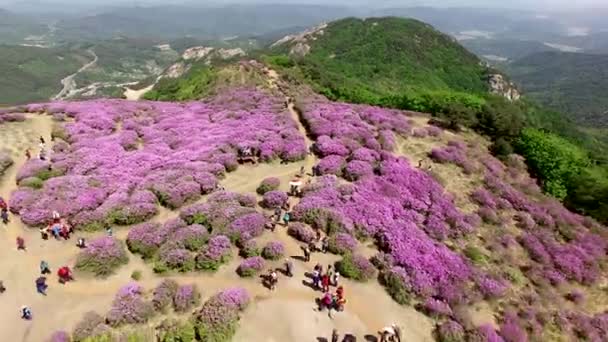 Flygfoto Över Hwangmaesan Mountain Hapcheon Gyeongnam Sydkorea Asien — Stockvideo