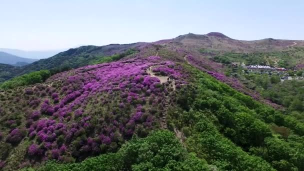 Luchtfoto Van Hwangmaesan Mountain Hapcheon Gyeongnam Zuid Korea Azië — Stockvideo