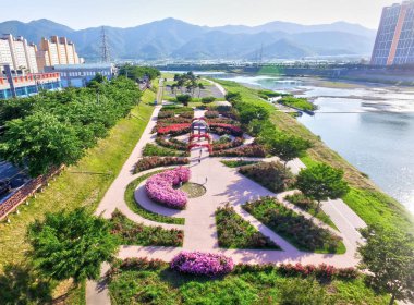 Jangmiwon Gül Bahçesi Hava Görüntüsü Milyang, Gyeongnam, Güney Kore, Asya