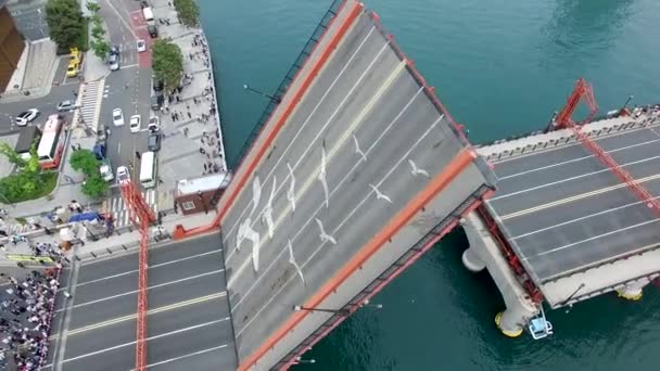 Vista Aérea Del Puente Yeongdodaegyo Busan Corea Del Sur Asia — Vídeo de stock