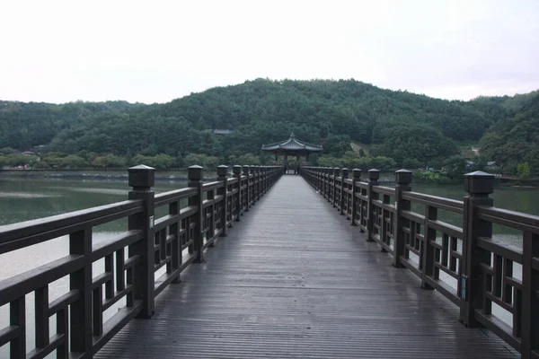 Wolyeonggyo Bridge en Andong, Gyeongbuk, Corea del Sur, Asia —  Fotos de Stock