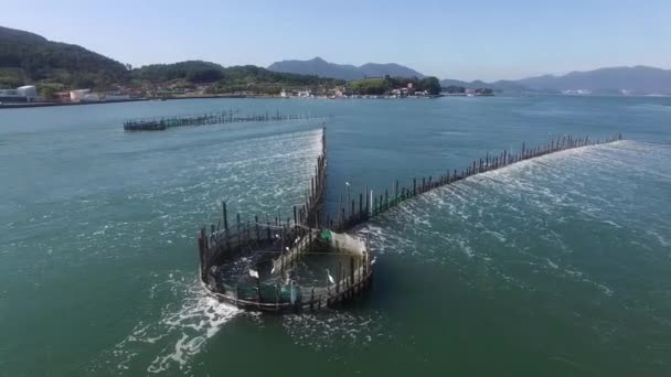 Αεροφωτογραφία Του Anchovy Fish Trap Jukbangryeom Namhae Gyeongnam Νότια Κορέα — Αρχείο Βίντεο