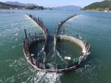 Ançüez Balığı Tuzağı Jukbangryeom, Namhae, Gyeongnam, Güney Kore, Asya