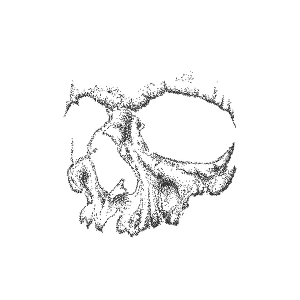 Abstract dotwork grunge skull. — Stock Vector