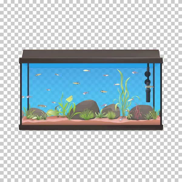 Tanque de pescado. Acuario ilustración con peces piedras y plantas . — Vector de stock