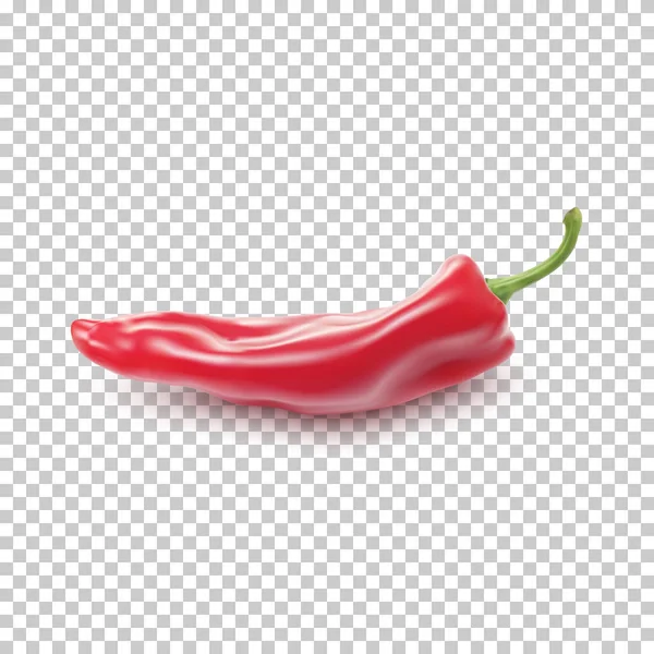 Red realistic pepper. — Stock Vector
