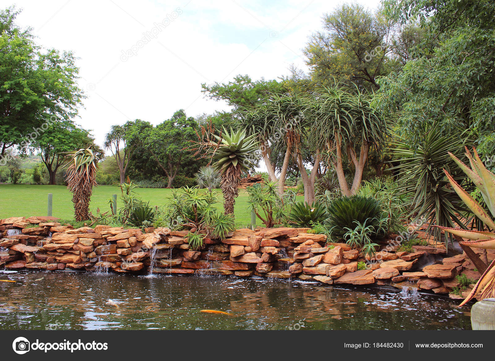 Tropical Garden Exotic Plants Palm Trees Small Pond Stock Photo Tropical Garden Exotic Plants Palm Trees Small Pond Stock Photo