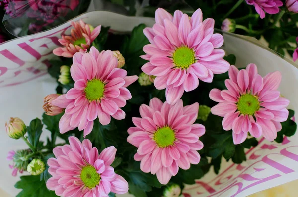Gül Gerbera'lardan - favori bahar süs çiçekleri buketi