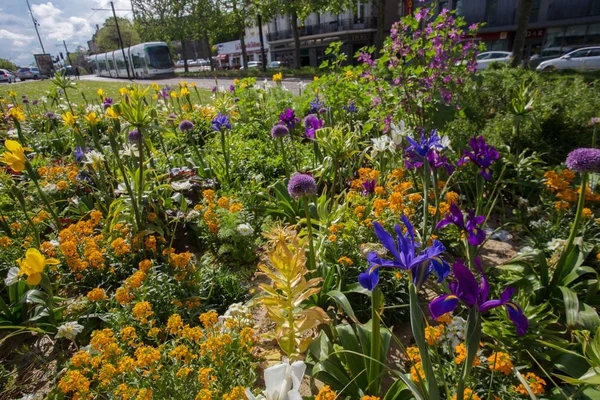 Magnifiques Fleurs Nantes France Centre Ville — Photo