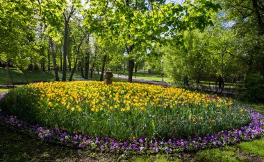yeşil bitkiler, çiçekler ve çalılar Merkezi Gorki Park içinde Moskova - Rusya başkenti-downtown .