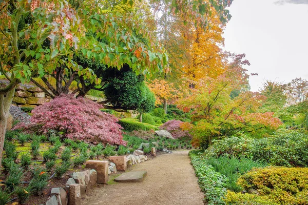 Fantastic autumn in Japanese garden in Kaiserslautern. — Stock Photo, Image