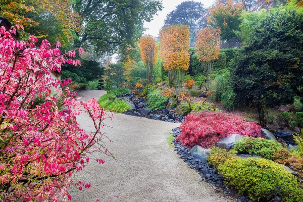 Fantástico otoño en jardín japonés en Kaiserslautern . —  Fotos de Stock