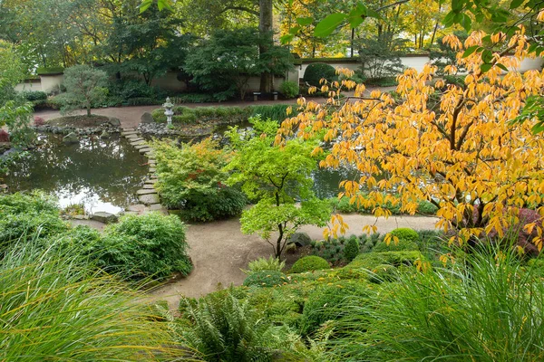 日本庭園にあるメイプル カイザーラウタン 素晴らしい秋だ葉が落ちる 鯉池鯉池 — ストック写真