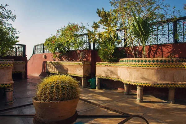 Tuin op het dak Marrakech — Stockfoto