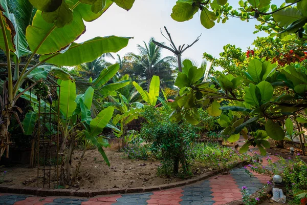 Parque impresionante cerca de un pequeño jardín en el sur de la India —  Fotos de Stock