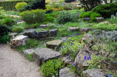Stones and awe plants  for beauty landscape  - idyllic springtimw at garden near Karl Foerster house at Potsdam
