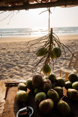 sale of coconuts on the main beach of Gokarna, Karnataka state India. clipart