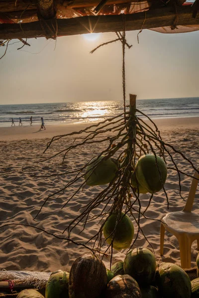 Venta Cocos Playa Principal Gokarna Playa Principal Majestic Sur India — Foto de Stock