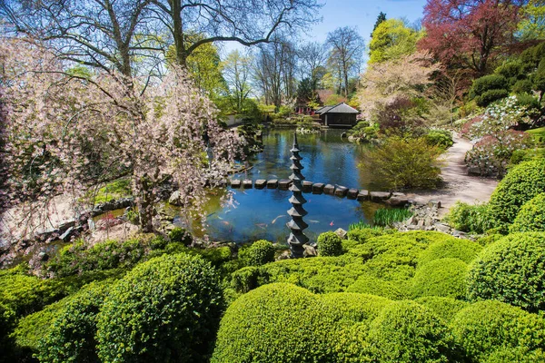 Japanese Garden Kaiserslautern Carps Koi Water Pond Japanese Garden Lantern — Stock Photo, Image