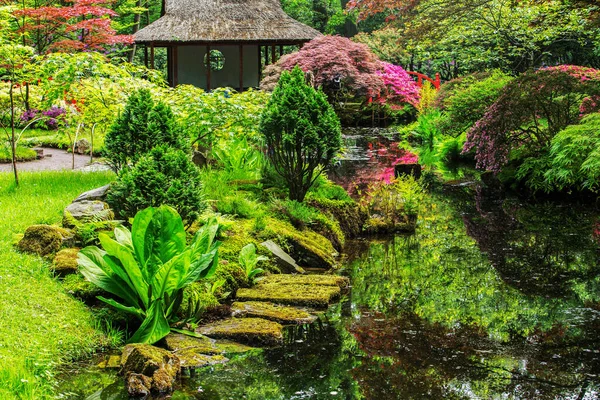 Japoński Ogród Hadze Niderlandy — Zdjęcie stockowe