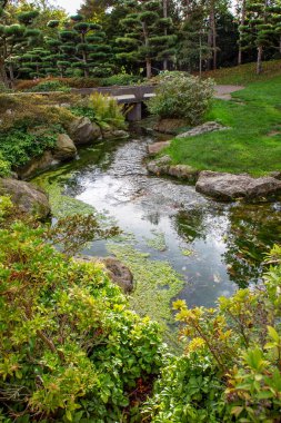 Kuzey Park 'taki Düsseldorf' taki Japon bahçesinde bir dere.
