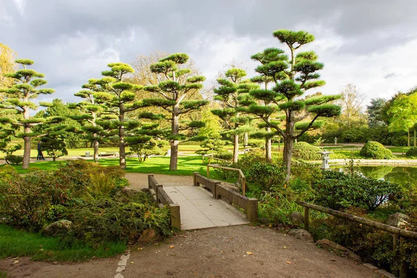 Awe Jardim Japonês North Park Dusseldorf Belo Dia Ensolarado — Fotografia de Stock