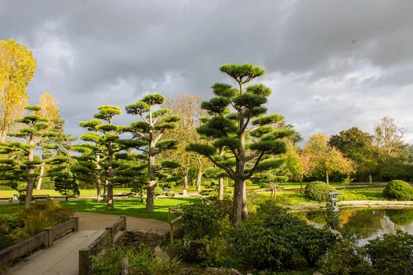 Awe Japanese Garden North Park Dusseldorf Alemanha — Fotografia de Stock