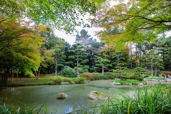 Ehrfurcht Einflößender Japanischer Garten Düsseldorfer Norden Idyllischer Sonniger Tag Und — Stockfoto