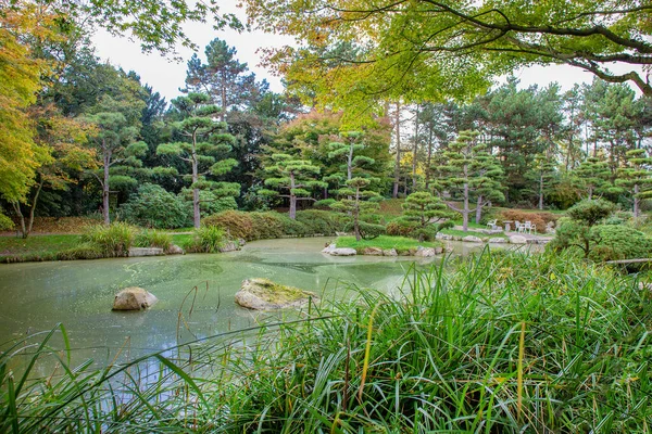 Japanse Tuin North Park Düsseldorf Duitsland Idyllische Dag Met Zon — Stockfoto