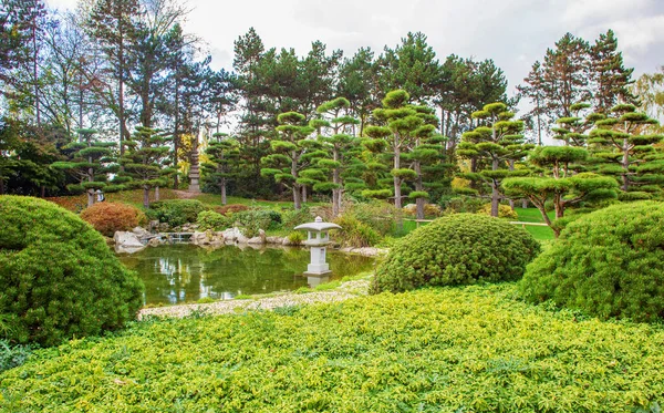 Awe Japanese Garden North Park Dusseldorf Alemanha Dia Ensolarado Idílico — Fotografia de Stock