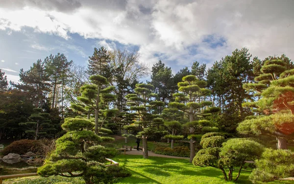 Ogród Japoński Północnym Park Dusseldorfie Idylliczny Słoneczny Dzień Chmury Majestatyczne — Zdjęcie stockowe
