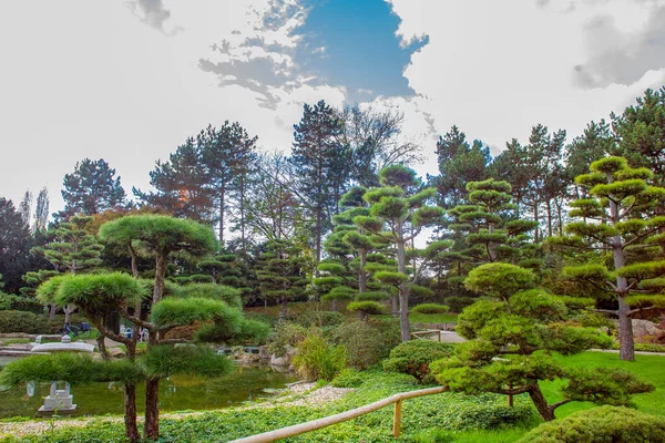 Impresionante Jardín Japonés North Park Dusseldorf Alemania —  Fotos de Stock
