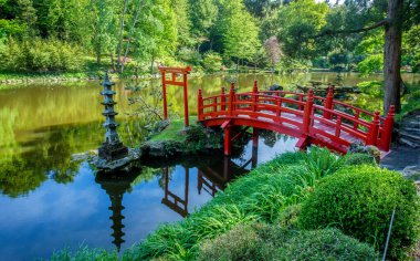 Maulivrier 'deki Japon bahçesinde kırmızı ahşap köprü ve taş fener. Maulivrier Japoncasında Rhododendron çiçeği ve ağaç sanatı