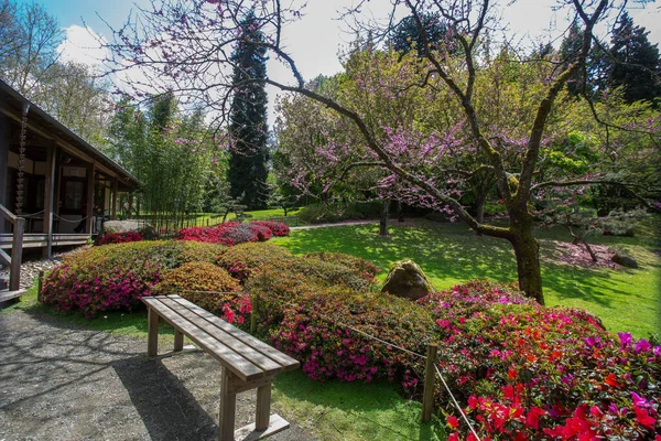 Idílico Florecimiento Rododendros Arte Topiario Jardín Japonés Maulivrier —  Fotos de Stock
