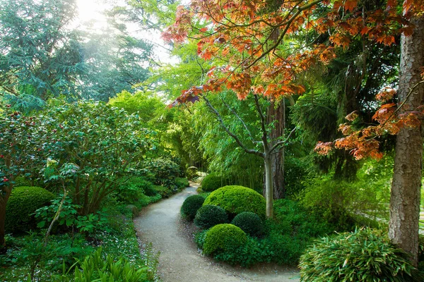 Giardino Idilliaco Giapponese Parigi Albert Kahn Giardino Natura Idilliaca Primavera — Foto Stock