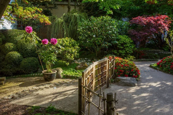 Idyllic Japanese Garden Paris Albert Kahn Garden Idyllic Nature Springtime — Stock Photo, Image