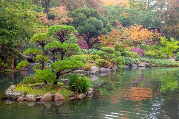 Vista Incrível Oin Jardim Japonês Kaiserslautern Folhas Carpas Amarelas Koi — Fotografia de Stock